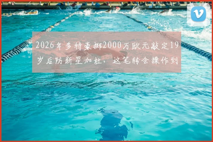 2026年多特豪掷2000万欧元敲定19岁后防新星加杜,这笔转会操作到底值不值?附球员技术特点与未来前景解析