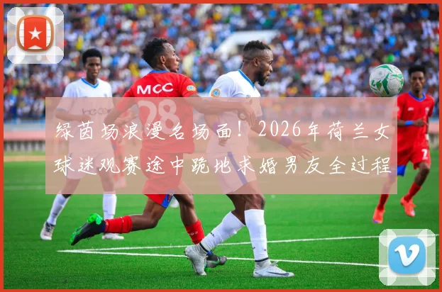 绿茵场浪漫名场面！2026年荷兰女球迷观赛途中跪地求婚男友全过程与视频