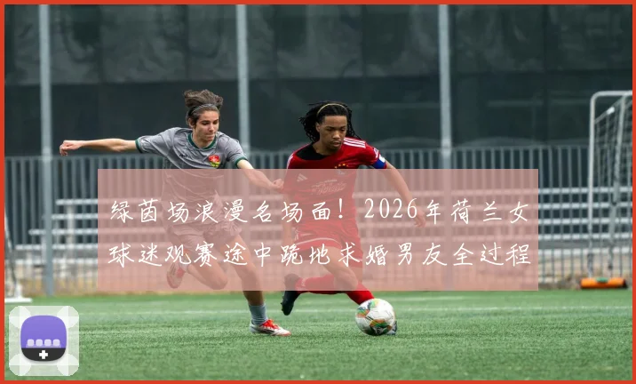 绿茵场浪漫名场面！2026年荷兰女球迷观赛途中跪地求婚男友全过程与视频